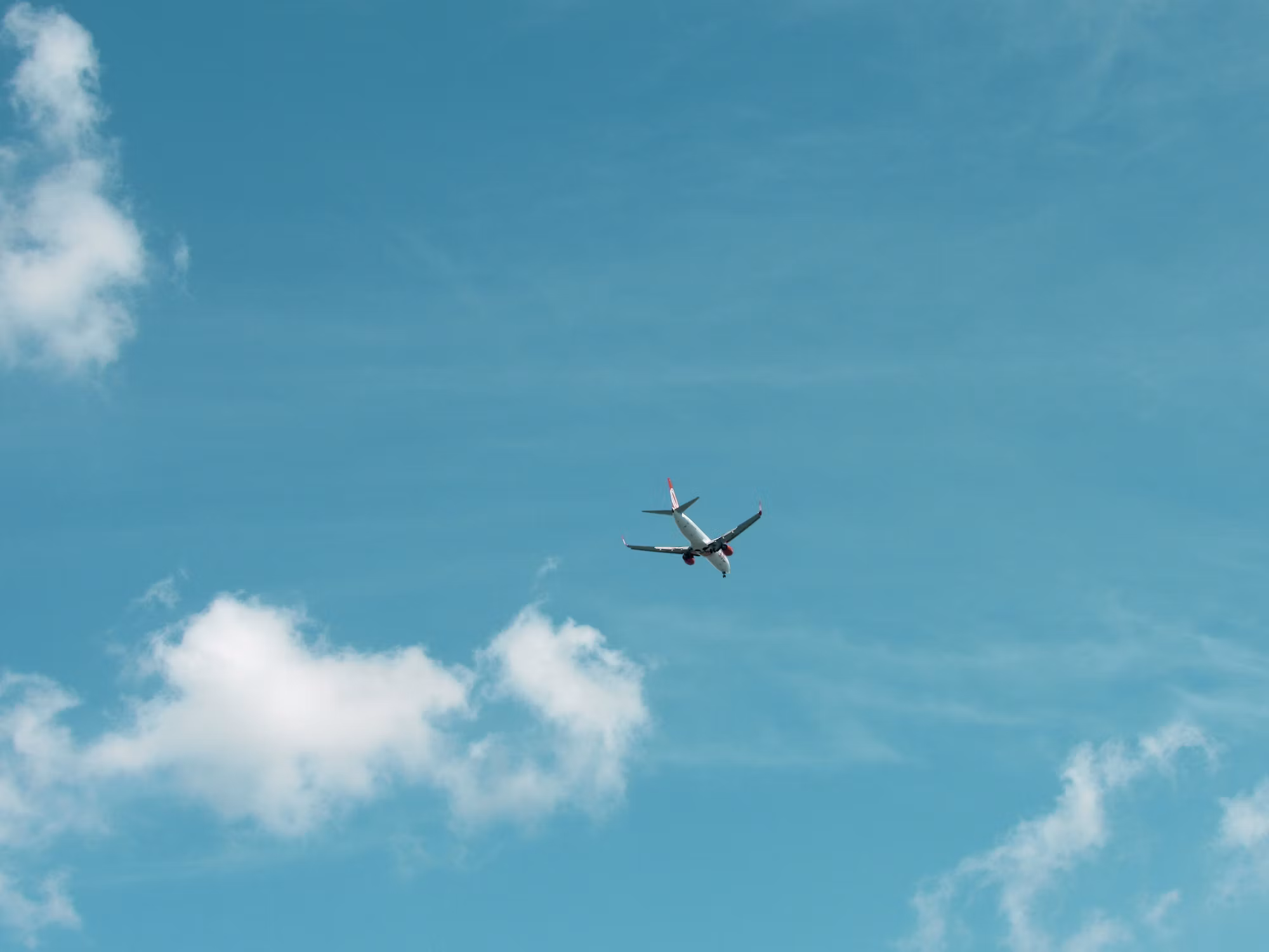 Navigating the World of Sustainable Travel: Tips for Eco-Conscious Explorers